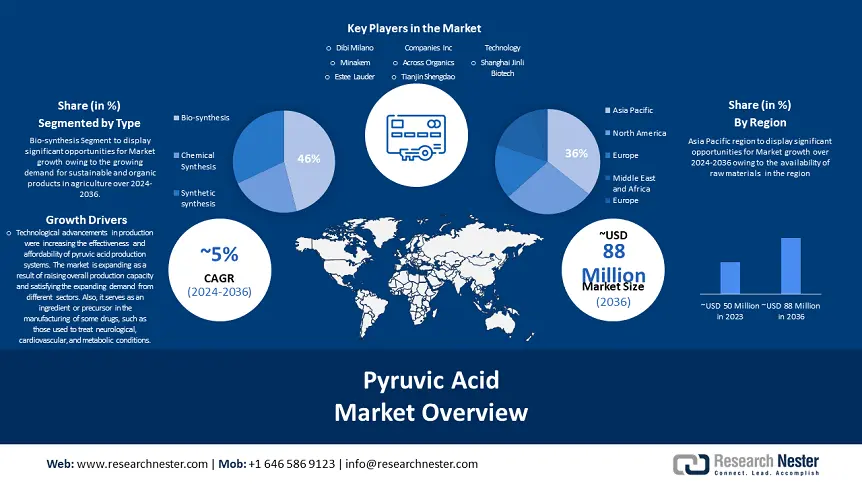 Pyruvic Acid Market overview